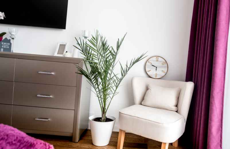 Décoration pour une chambre adulte