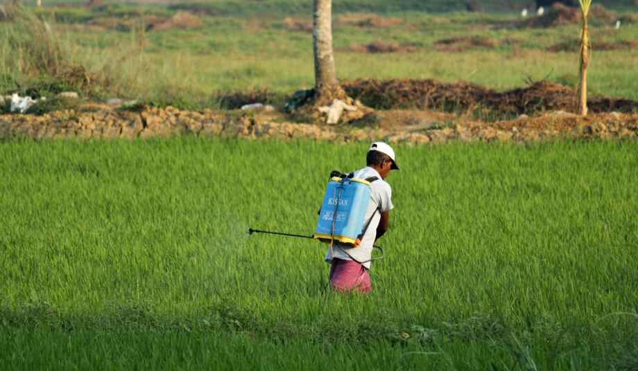 Quelle dose de Roundup pour 10 litres d'eau : le dosage idéal pour un jardin propre