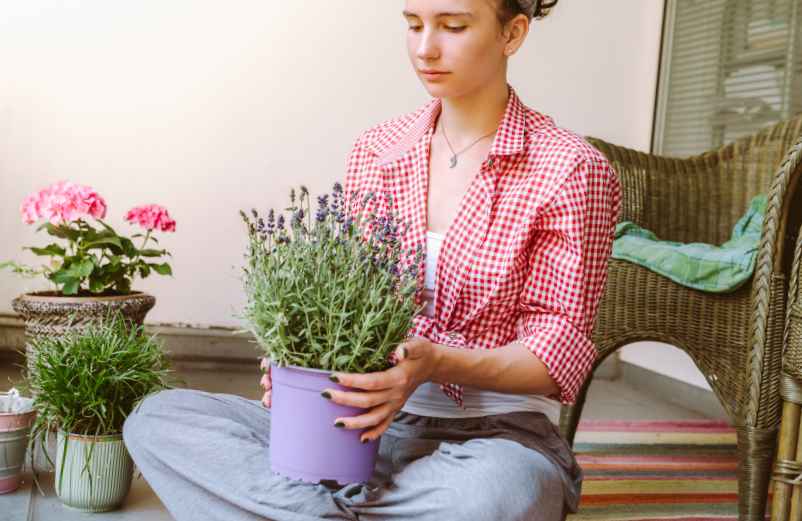 Peut-on cultiver ces plantes en intérieur ? Polville-Habitat