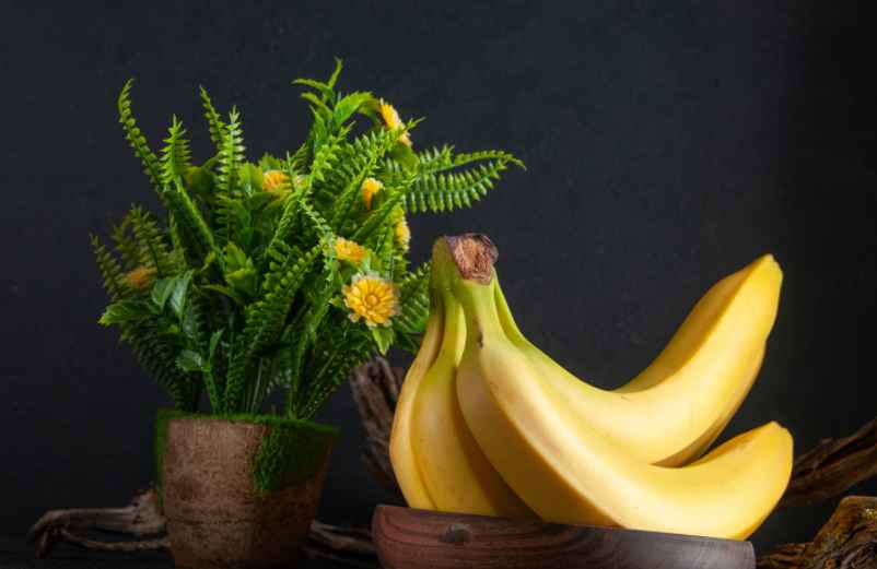 Peut-on planter un bananier à partir d’une banane ? Ce qu’il faut vraiment savoir