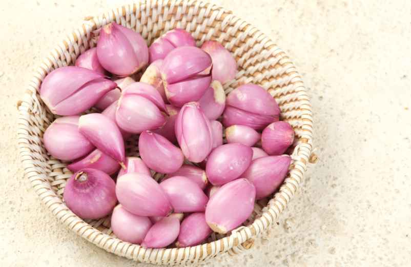 Quand et comment planter l’ail rose ? Périodes idéales et méthode