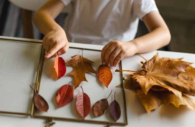 En quoi ces activités manuelles stimulent-elles le développement de l’enfant ?-Polville Habitat