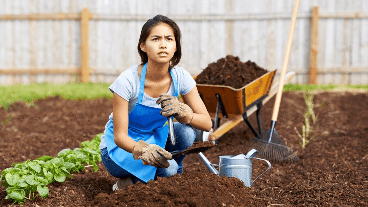 Tools and supplies to start spring garden from scratch, including a tray of seedlings and other equipment laid on a wooden surface