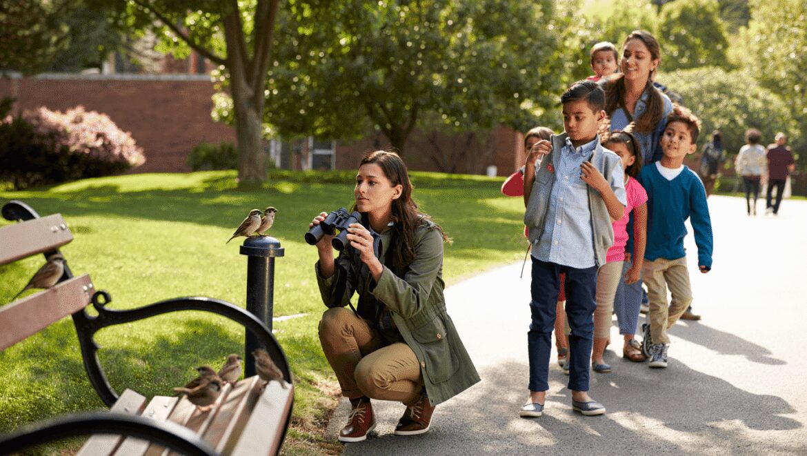 En file indienne avec les oiseaux : Grosbec casse-noyaux, chardonneret élégant et verdier d