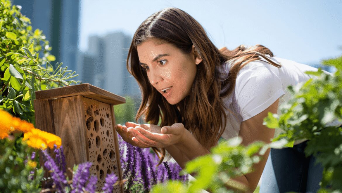 LOGE empilés pour présentation au public