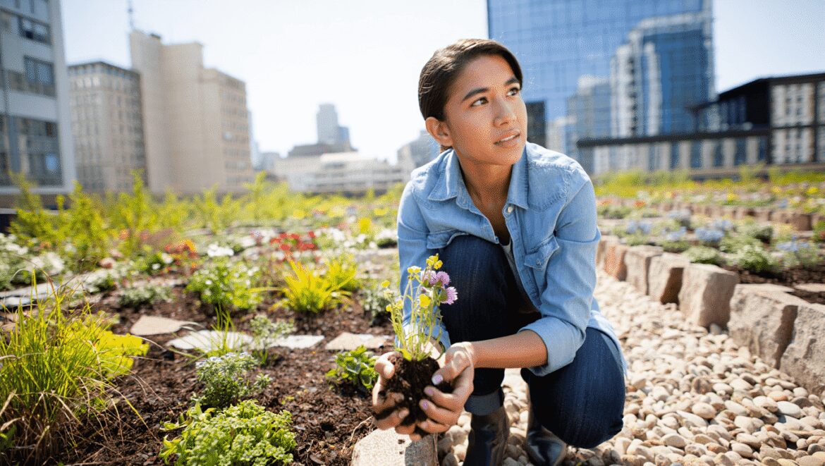 LOGE empilés pour présentation au public