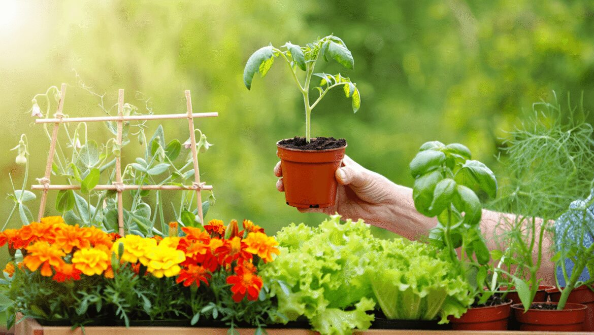 A close-up shot of a small composition of delicate, pink flowers atop slender stems, showcasing start seed April