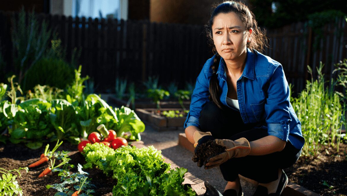 A close-up and overhead shot of a basket full of freshly harvested crops all from a subsistence garden