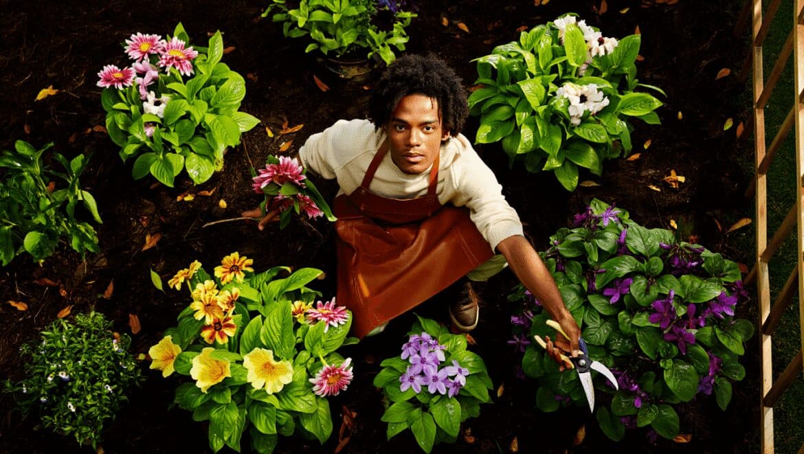 A close-up shot of a person's hand, wearing white gloves and using pruners, in the process of trimming climbing roses, showcasing prune plants March
