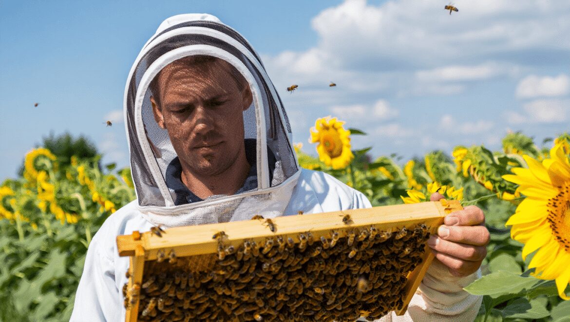 Néonicotinïdes : nos champs de betteraves sont-ils condamnés à être vides de vie ?