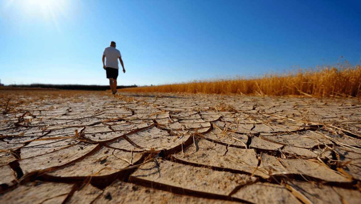 40 degrés, canicule, sécheresse : c'est officiel,
le mois le plus chaud entre juin, juillet et août en France
sera...