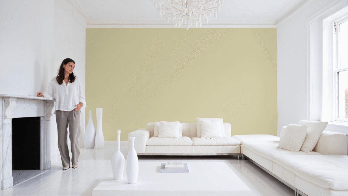 couleurs blanche
