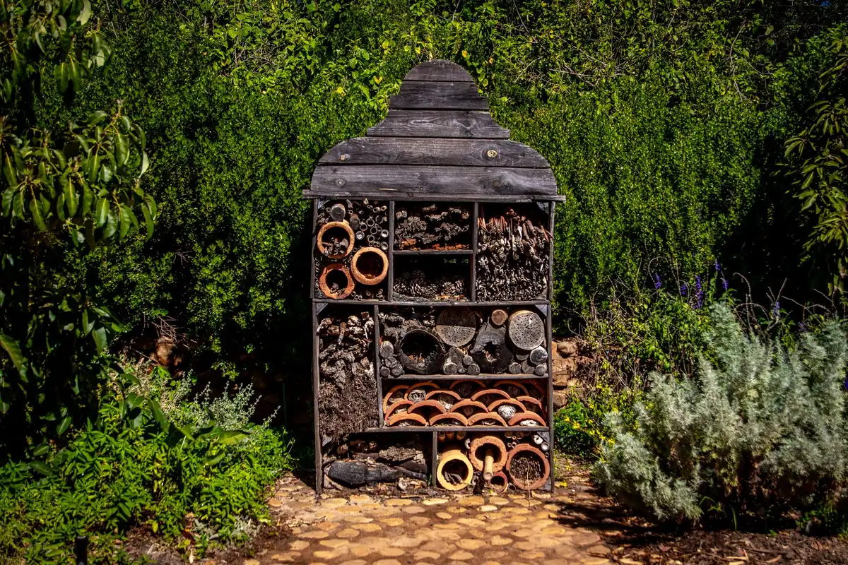 Hôtel à insectes et refuge écologique dans un jardin urbain