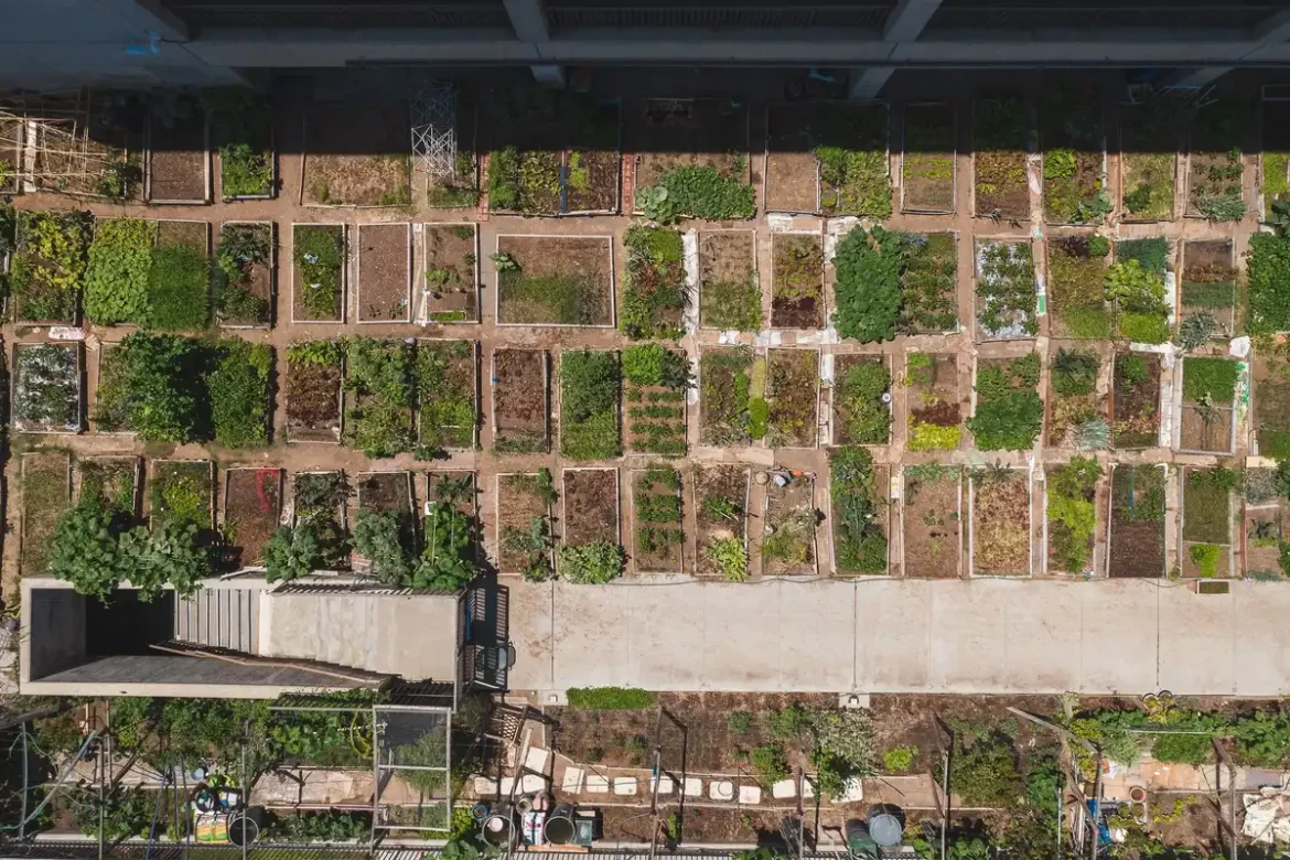 Mains anonymes plantant des fleurs et arbustes indigènes dans un espace public urbain