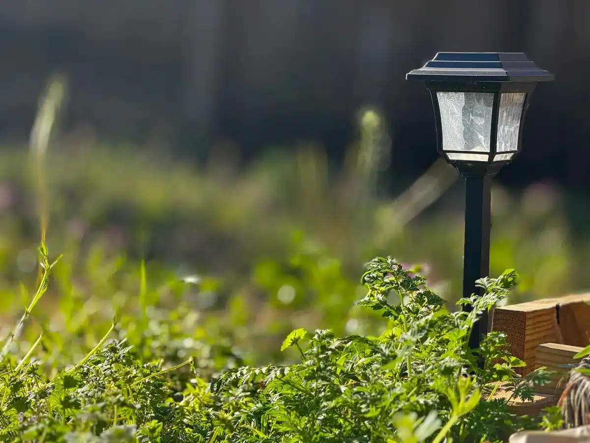 Différents types de lampes solaires : balises, projecteurs et guirlandes lumineuses