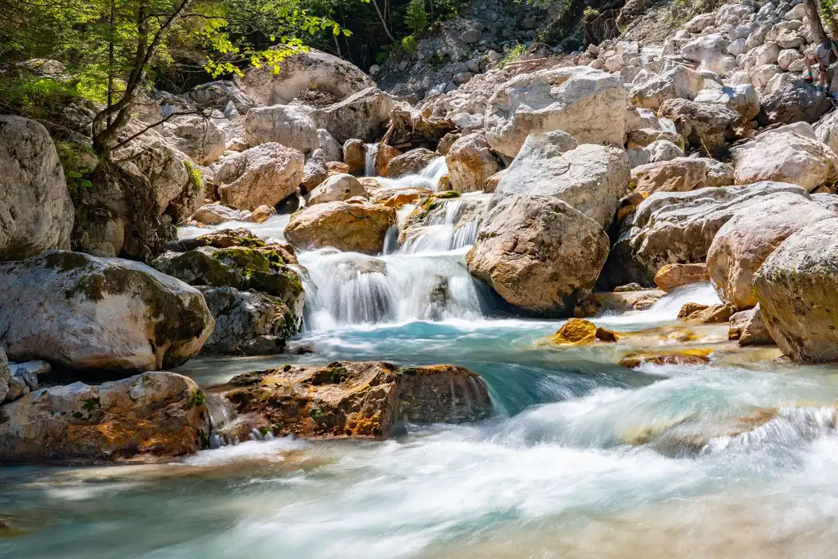 Cours d'eau pyrénéen clair avec rochers et berges naturelles, habitat du desman