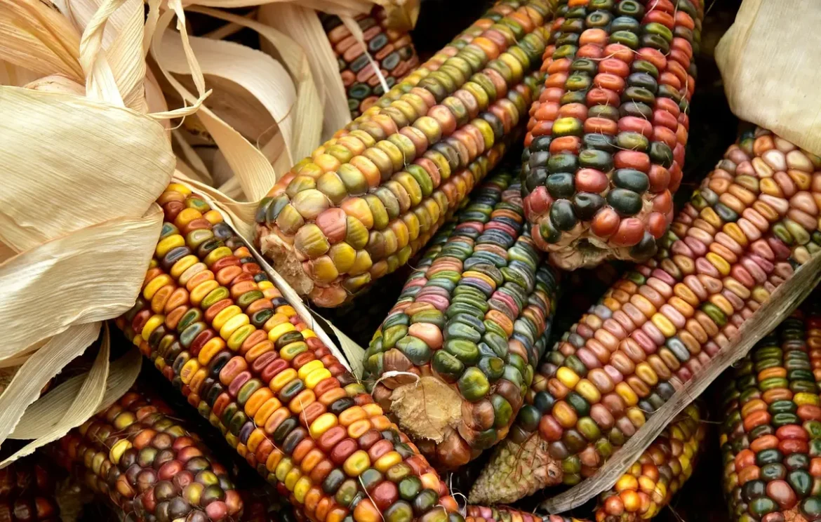 Jardinière automnale sur balcon avec choux d'ornement, pensées et petits pots en terre cuite