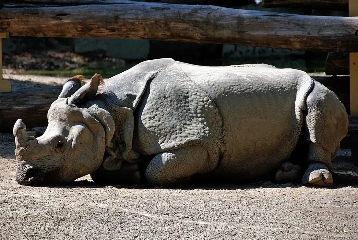 Famille observant un enclos végétalisé et des panneaux pédagogiques au zoo