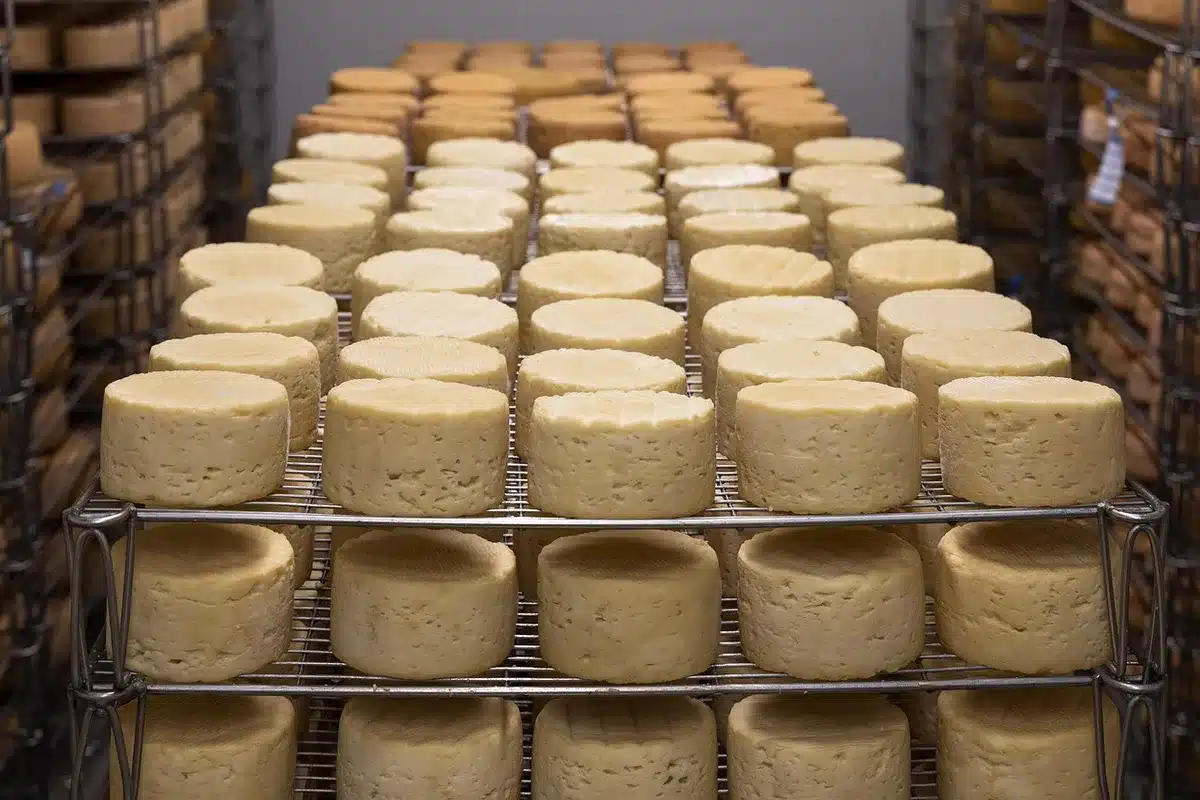 Fromage sur une étagère de réfrigérateur montrant condensation sur la croûte