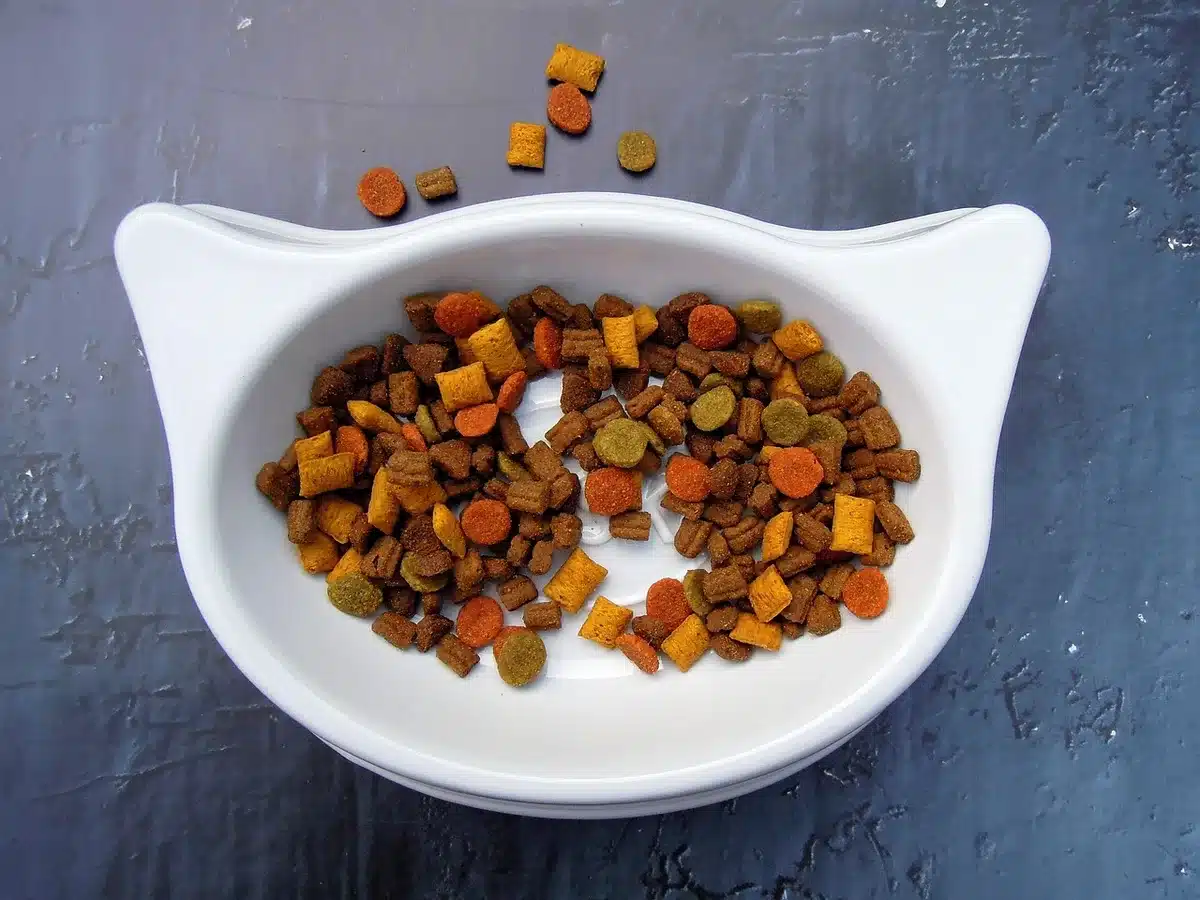 Croquettes pour chat à base d'insectes et protéines durables