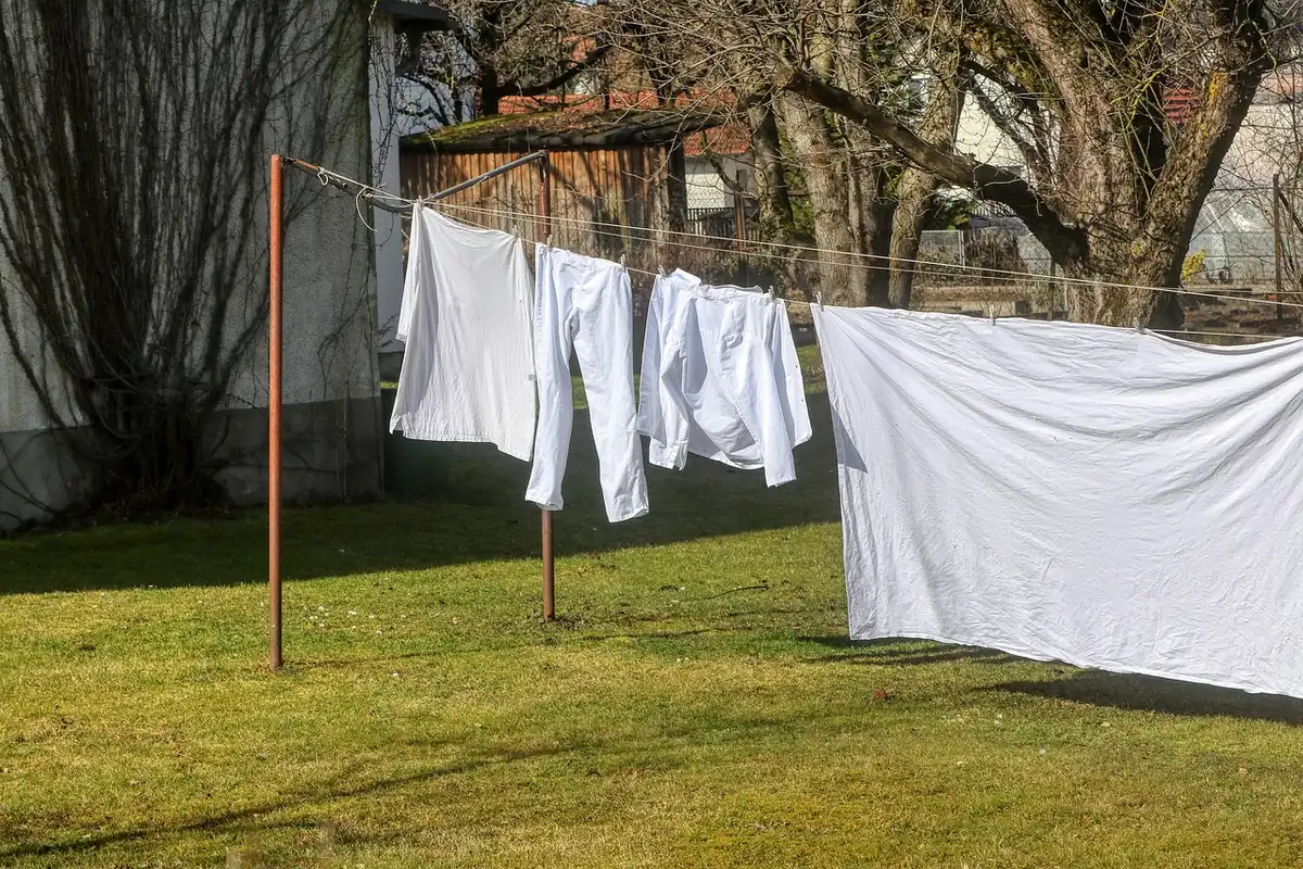 Moitiés de citron posées dans le tambour d'une machine à laver vide