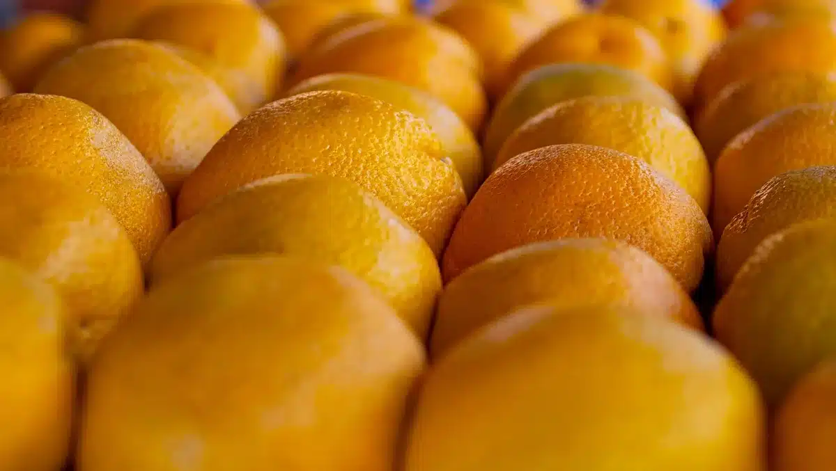 Râpure de citron près d'un drain d'évier montrant la texture de l'écorce