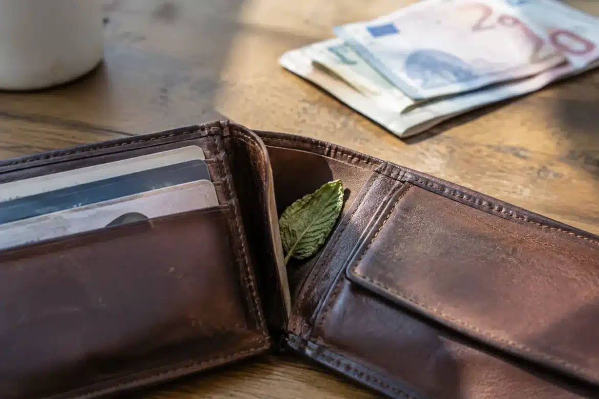 Menthe dans le porte-monnaie: astuce rentable ou superstition?